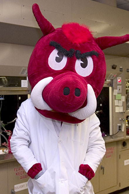 Razorback in a lab coat; No faculty photo available